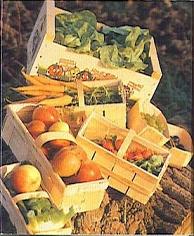 wooden crates for packing of fruits